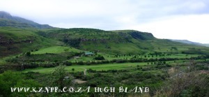 dscf4912