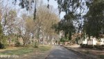 Adams College - Grounds - General (2)