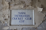 Addington-Childrens-Hospital-Cot-Natal-Tatersalls-Cricket-Club-cot-38