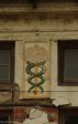 addington-childrens-exterior-medical-snake-decor-3