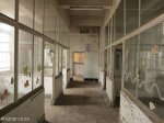 addington-childrens-hospital-babies-ward-4