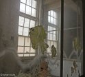 addington-childrens-hospital-babies-ward-5_0