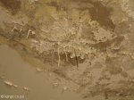 addington-childrens-hospital-peeling-paint-1