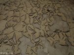addington-childrens-hospital-peeling-paint-12