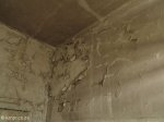 addington-childrens-hospital-peeling-paint-22
