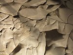 addington-childrens-hospital-peeling-paint-32