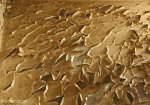addington-childrens-hospital-peeling-paint-36