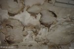 addington-childrens-hospital-peeling-paint-54