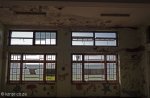 addington-childrens-hospital-windows-111
