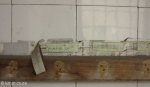 addingtons-childrens-hospital-bathrooms-plumbing-2