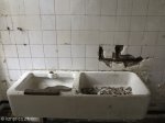 addingtons-childrens-hospital-bathrooms-plumbing-5