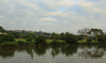 Amanzimtoti - Lagoon Drive & Municipal offices (2)