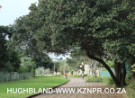 Amanzimtoti-promenade-5
