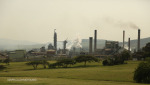 Mandini  Sappi Mill - S 29.08.786 E31.24.436 Elev 85m (5)