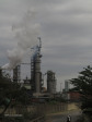 Mandini  Sappi Mill - S 29.08.786 E31.24.436 Elev 85m (6)