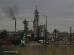 Mandini  Sappi Mill - S 29.08.786 E31.24.436 Elev 85m (7)