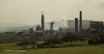 Mandini  Sappi Mill - S 29.08.786 E31.24.436 Elev 85m (8)
