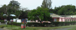 Mandini School Matthew Street
