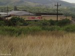 nyoni-station-s29-04-805-e31-27-504-elev-61m-7