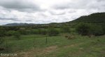 Vaalkrans - Battle Site (7)
