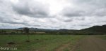 Vaalkrans - view from Mungers farm across battlefields to Spionkop (2)