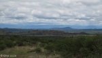 Vaalkrans - view over Vaalkrans towards Mt Alice (2)