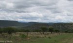 Vaalkrans - view over Vaalkrans towards Mt Alice (3)