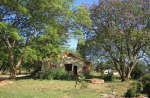 Appelbosch Lutheran Church - 29.23.203 S 30.50.806 E - Old residences - derelict (4)