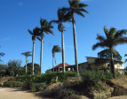 Esenembe - Tin Residences - off R614 - 29.29.731 S 31.05.189 E  (3)