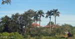 esenembe-tongaat-farm-house-s-29-29-43-e-31-05-11-elev-272m-2