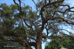 Atholton-school-mount-edgecombe-24