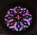 Michaelhouse - Chapel -  Stain Glass (7)