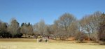 Michaelhouse -  Hockey fields (1)