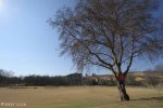 Michaelhouse - Main Sports Fields (6)