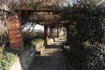 Michaelhouse -  Old tin houses and Amphitheatre (2)
