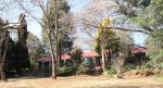 Michaelhouse -  Old tin houses and Amphitheatre (4)