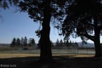 Michaelhouse -  Tennis courts (2)