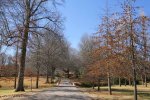 Michaelhouse -  entrance gate & memorial trees (6)