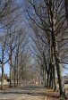 Michaelhouse -  entrance gate & memorial trees (7)