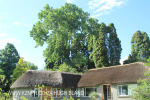 Beaconvlei -  Boathouse views (2)