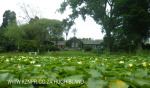 Beaconvlei Homestead