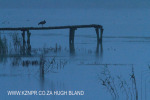 Beaconvlei -  Jetty in mist (1)