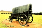 Blood River - Bronze wagon -  (1)
