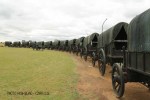 Blood River - Wagons in laager - Bronzes -  (15.) (3)