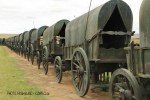 Blood River - Wagons in laager - Bronzes -  (19)