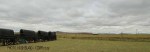 Blood River - Wagons in laager - Bronzes -  (2)