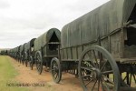 Blood River - Wagons in laager - Bronzes -  (20)