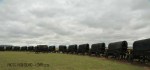 Blood River - Wagons in laager - Bronzes -  (22).