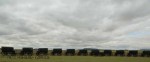 Blood River - Wagons in laager - Bronzes -  (26)