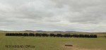 Blood River - Wagons in laager - Bronzes -  (4)